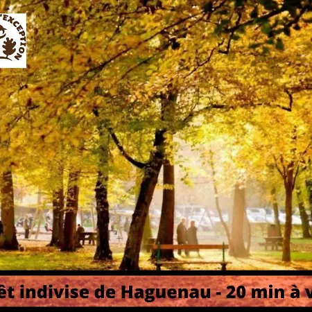 Duplex - Le Cosy - Hyper Centre